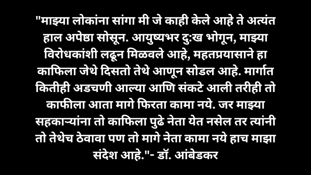 Dr Ambedkars last remark