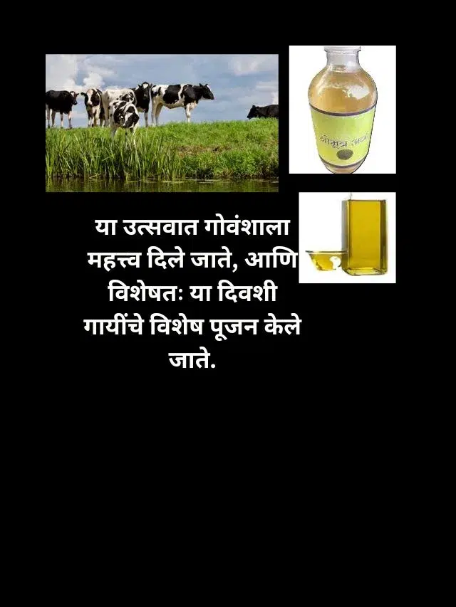 Vasubaras 2024