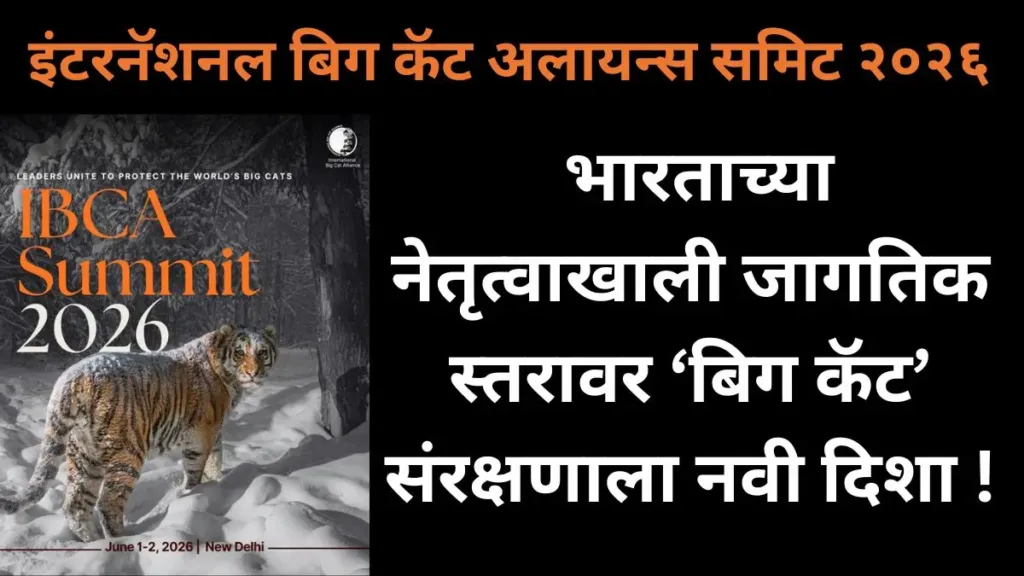 International Big Cat Alliance 