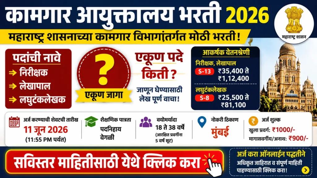 Government Job