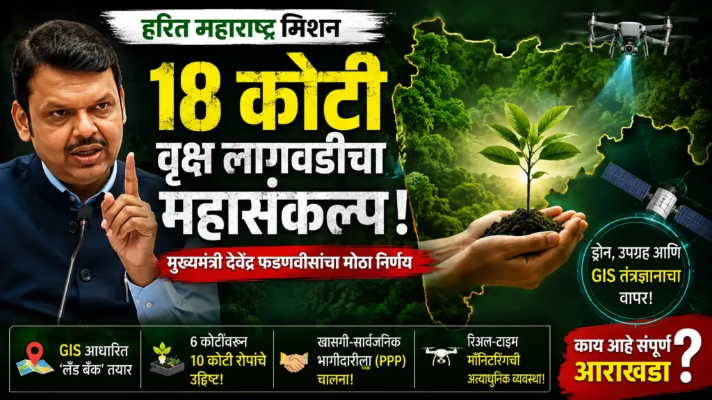 Tree Plantation