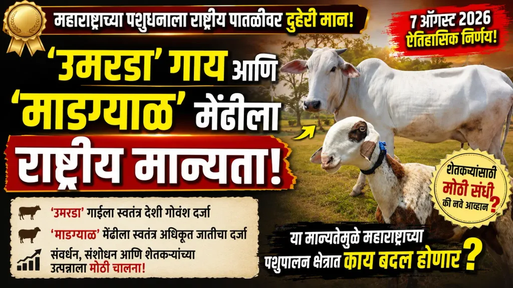 Livestock