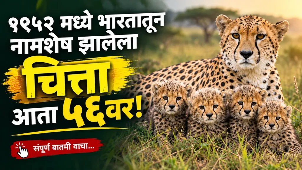 Project Cheetah